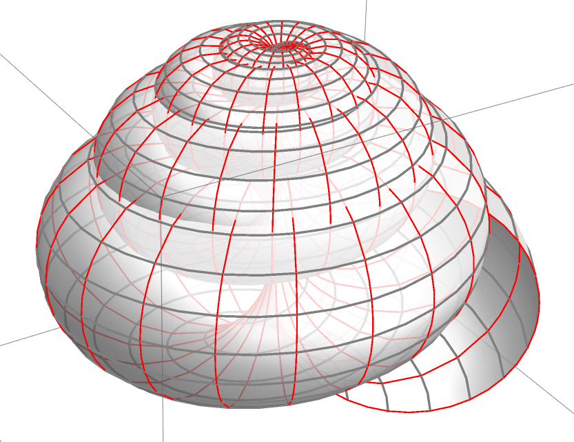 periwinkle seashell 2025-06-13 20286