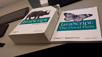 JavaScript books definitive guide vs good parts-s333x188