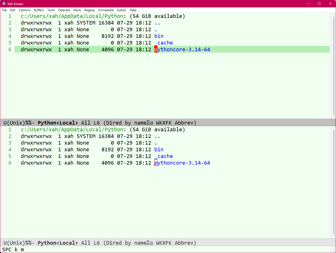 python version 2026-07-29 2c461 ll