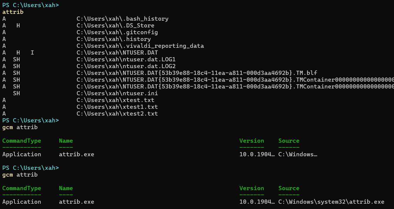 windows shell attrib 2025-06-16 383a9
