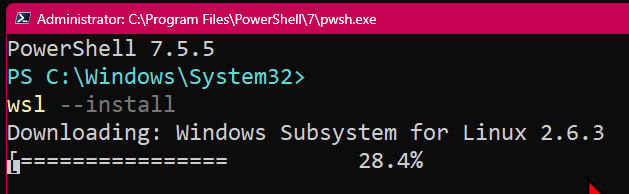 wsl linux 2026-04-19 2a8e4
