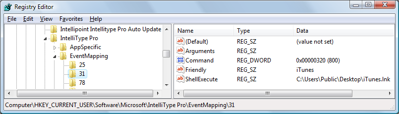 IntelliType Registry key example