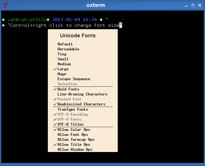 linux xterm change font size