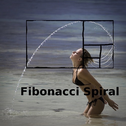 fibonacci spiral girl