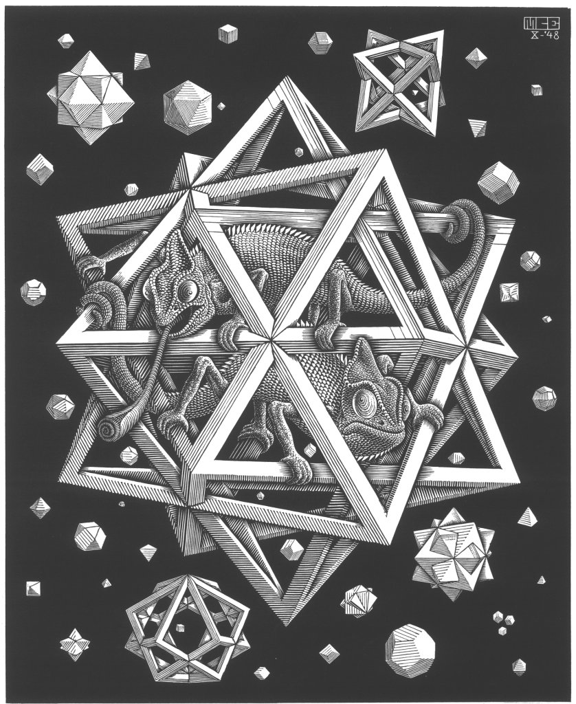 M C Escher Stars chameleon 1