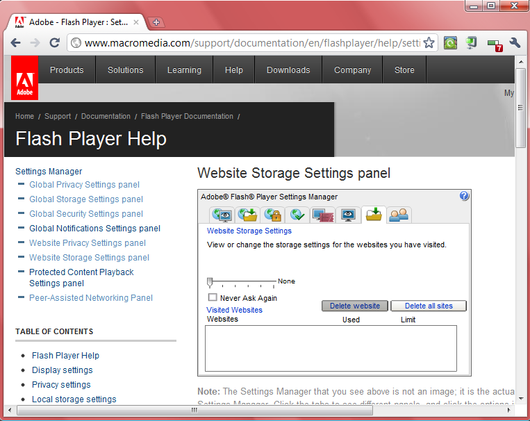 Flash website storage settings