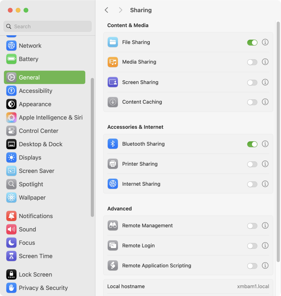 mac system settings general 2025-01-27 BmsHv