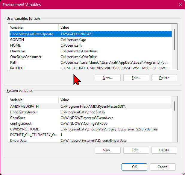 win11 environment variable 2025-12-21 19269