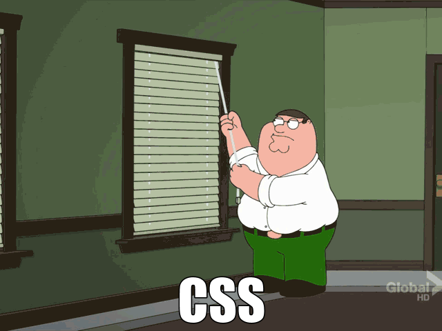 CSS pain window blind animation