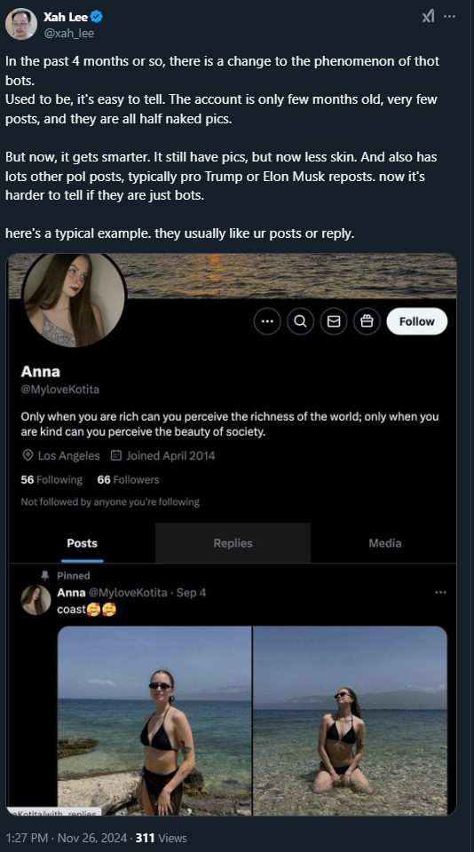 thotbot 2024-11 2025-01-12